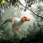 A rendering of the novel Tyrannosaur called Thanatotheristes degrootorum discovered in Alberta